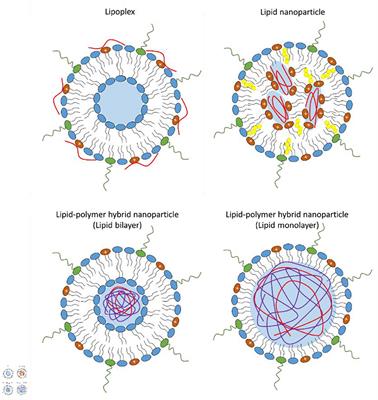 Advances in Lipid Nanoparticles for mRNA-Based Cancer Immunotherapy